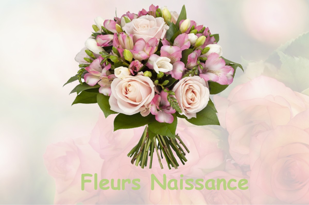 fleurs naissance BOIS-DE-GAND