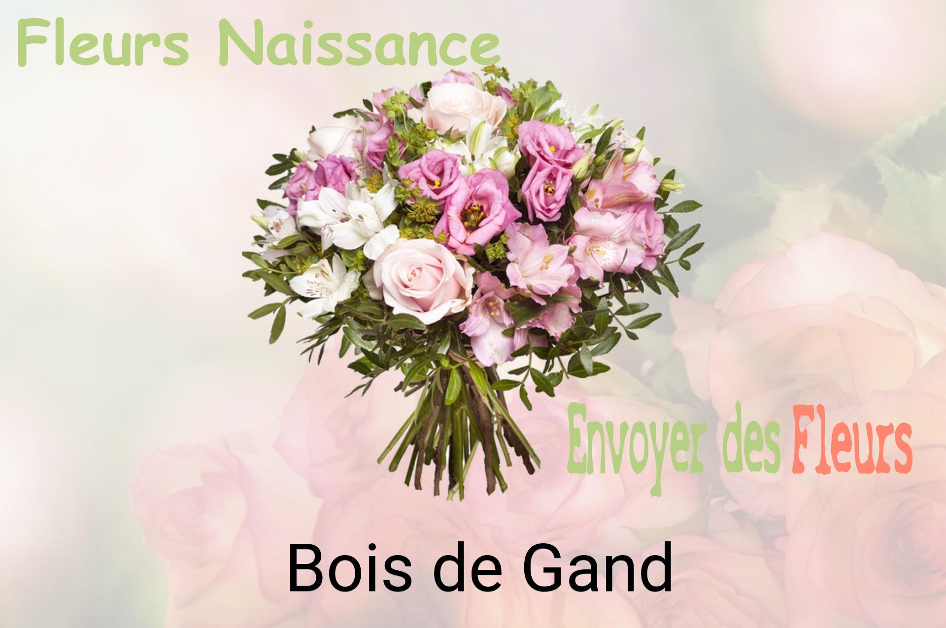 Bouquet de fleurs de naissance livré à Bois-de-Gand