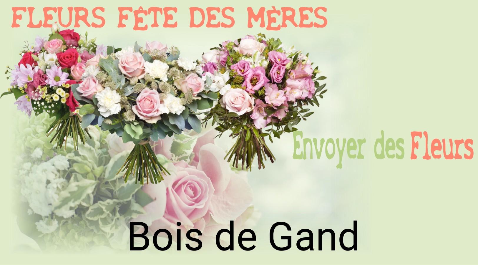 Bouquet de Fête des Mères livré à Bois-de-Gand