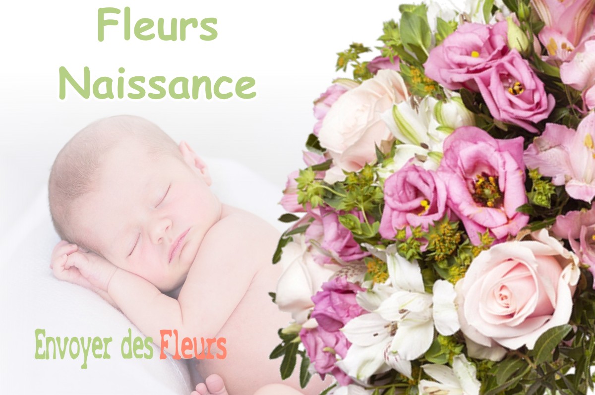 lIVRAISON FLEURS NAISSANCE à BOIS-DE-GAND